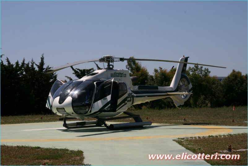 elifoto (216)